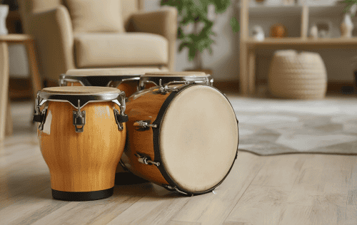 Bongos für Anfänger Test: Die 5 besten (Bestenliste)